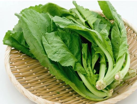 刈菜料理