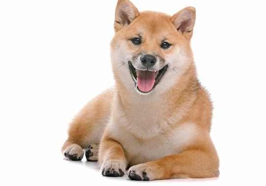 夢境象征心理學