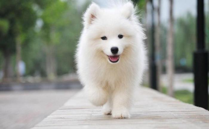 夢境象征心理學