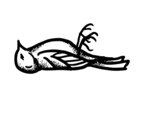 鳥類死亡夢境解析